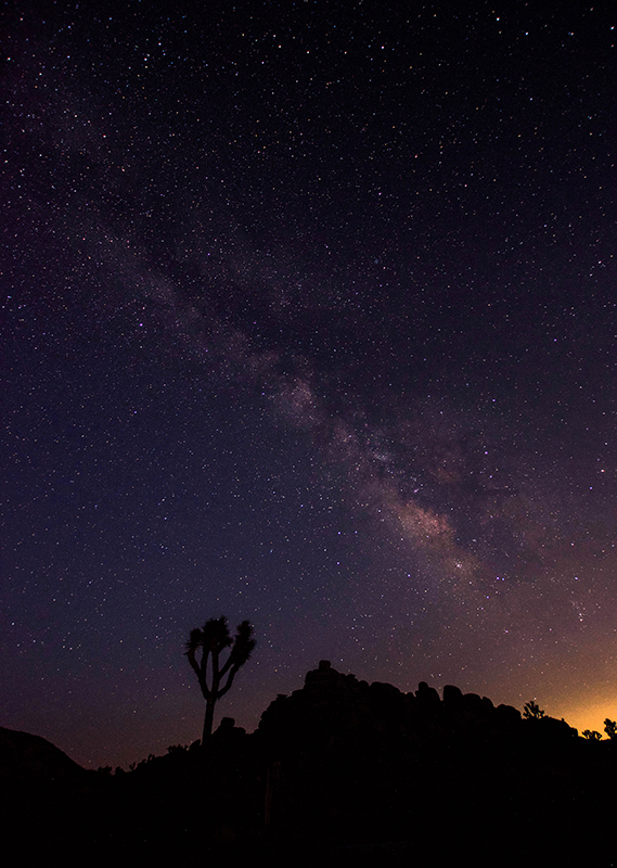 Milkyway at night in Joshua Tree National Park